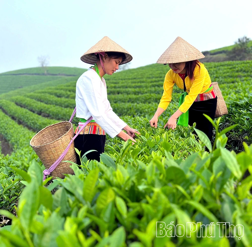 Mở lối du lịch xanh