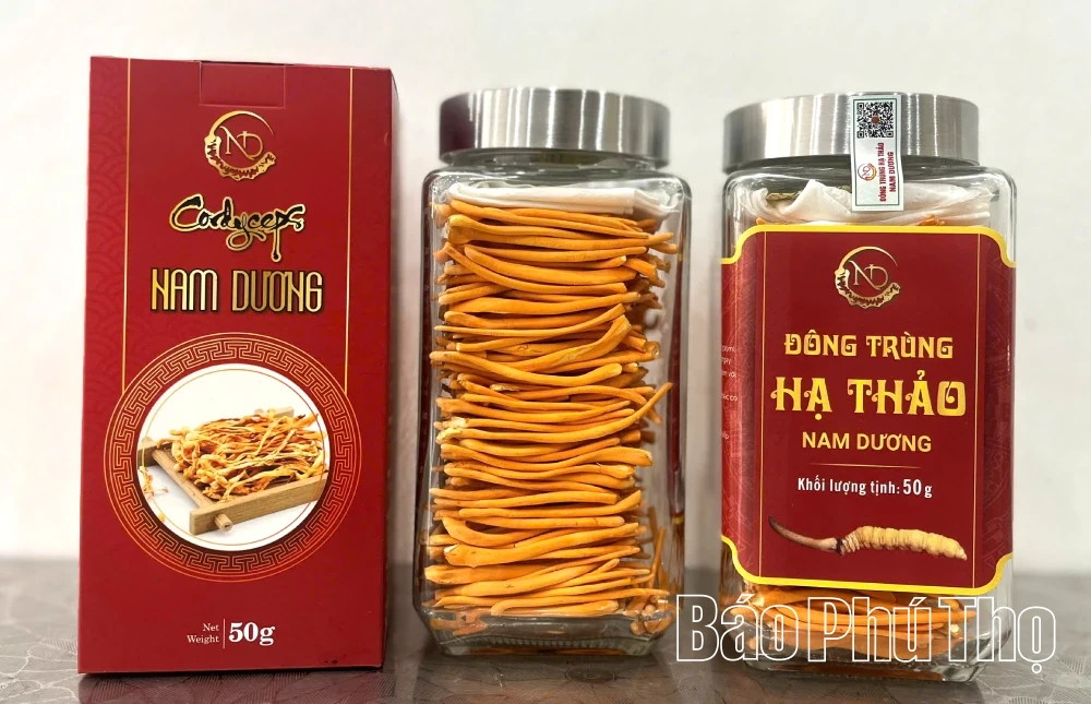 Đổi mới để vươn xa cùng OCOP