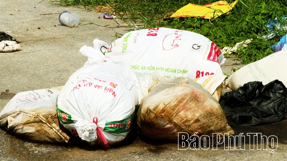 Cần chấm dứt tình trạng đổ rác thải tràn lan khu vực gần cầu Bờ Chè