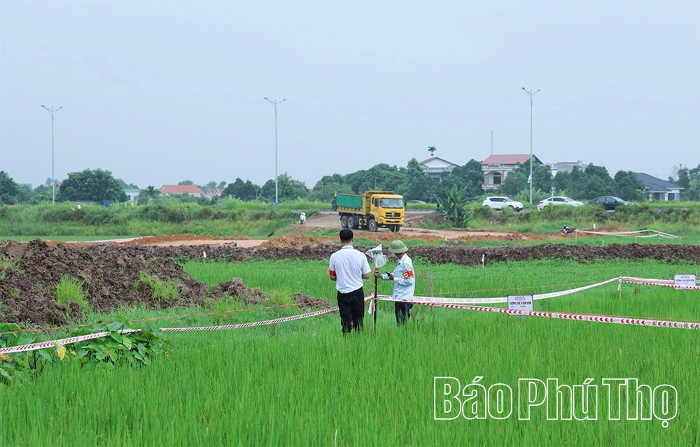 Cưỡng chế kiểm đếm bắt buộc để giải phóng mặt bằng dự án thu gom, xử lý nước thải