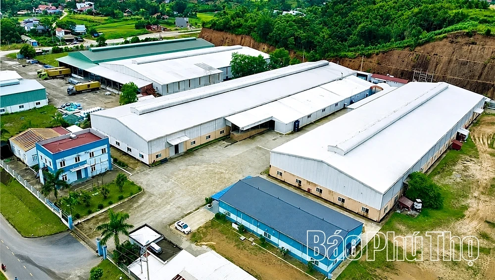 Phu Tho Removes Bottlenecks to Accelerate Industrial Cluster Development