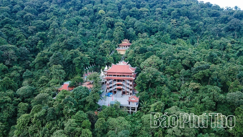 Spiritual Impression on Tam Dao Mountain