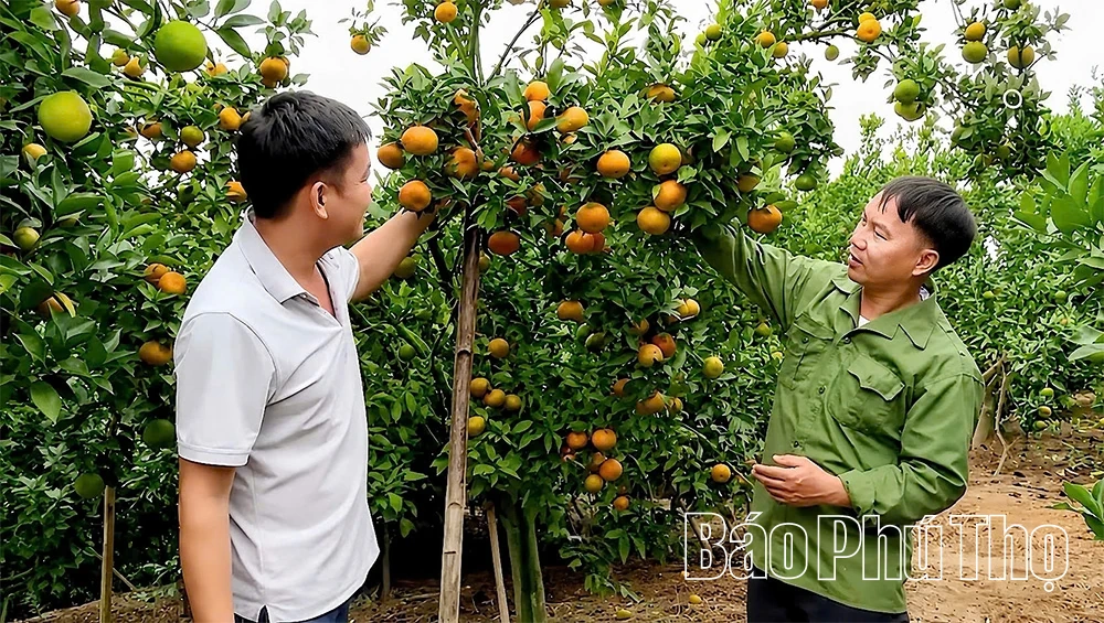 Tạo động lực phát triển cho xã vùng cao Lai Đồng