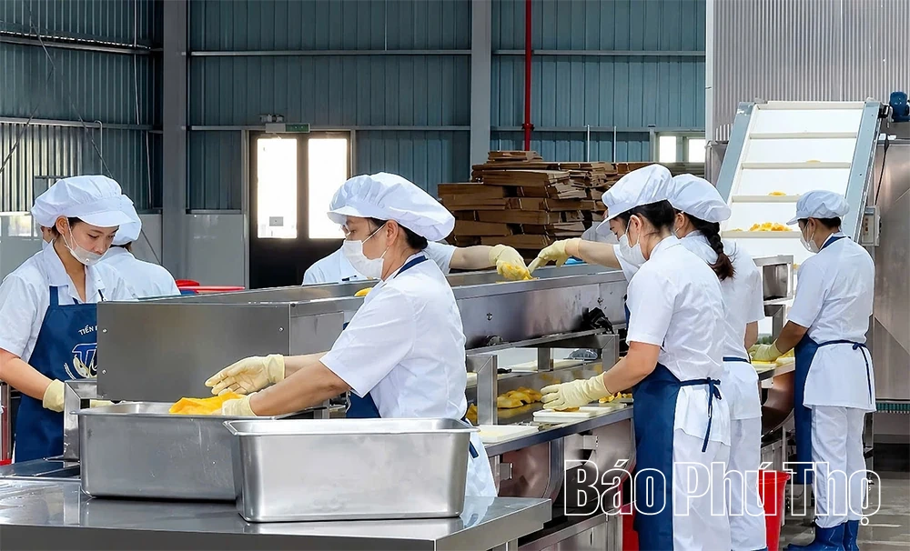 EVFTA - Mở rộng cánh cửa xuất khẩu cho doanh nghiệp Phú Thọ