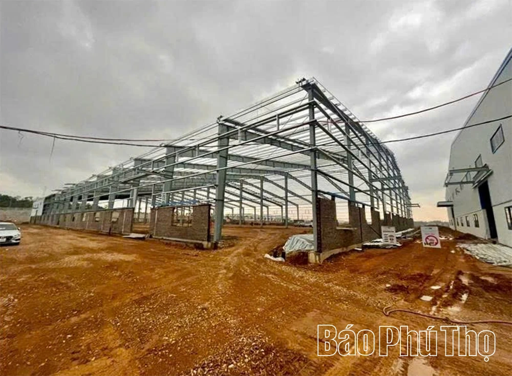Khởi tố giám đốc công ty vi phạm quy định về an toàn lao động gây chết người