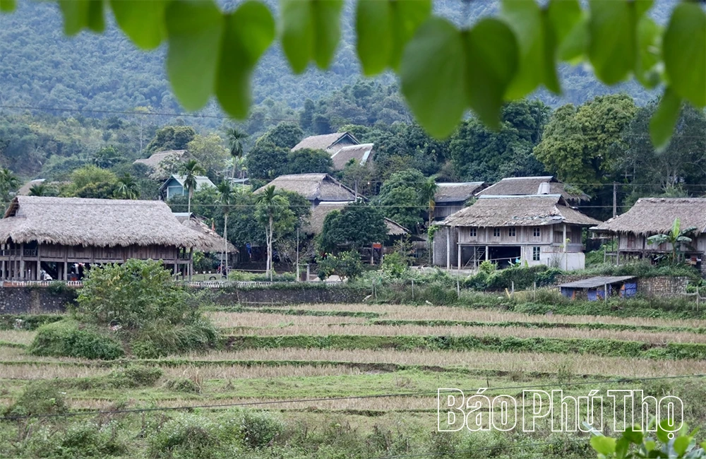 “Giữ lửa” văn hóa dân tộc Mường
