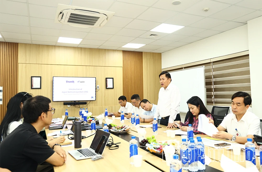 Tháo gỡ khó khăn Dự án Tổ hợp trang trại và nhà máy chế biến thịt bò Tam Đảo