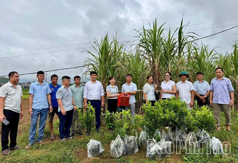 Động lực bứt phá ở Minh Đài
