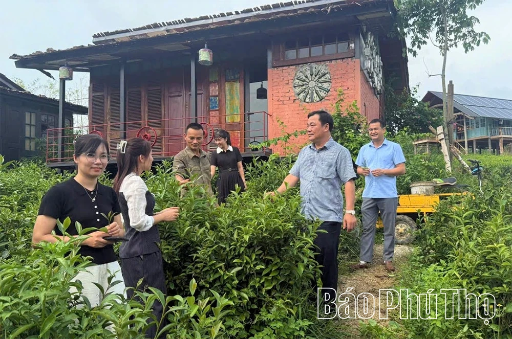 Động lực bứt phá ở Minh Đài
