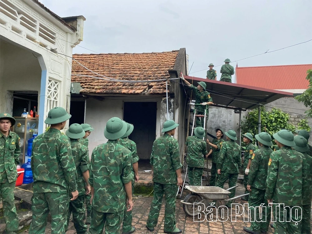 Màu áo lính trong hành trình tri ân