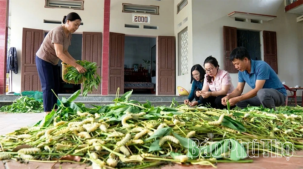 Điểm tựa giúp nông dân giảm nghèo bền vững