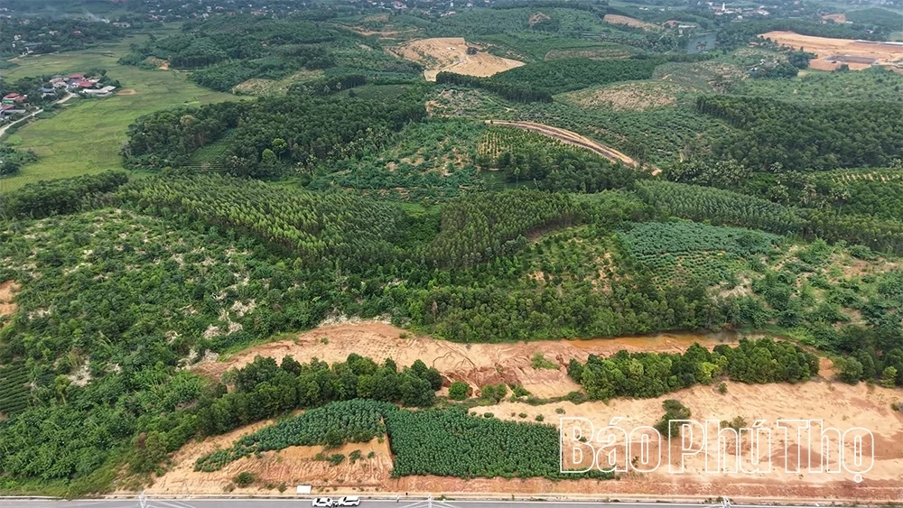 Provincial Delegation Conducts On-site Inspection of the Planned Phu My 1 Industrial Cluster