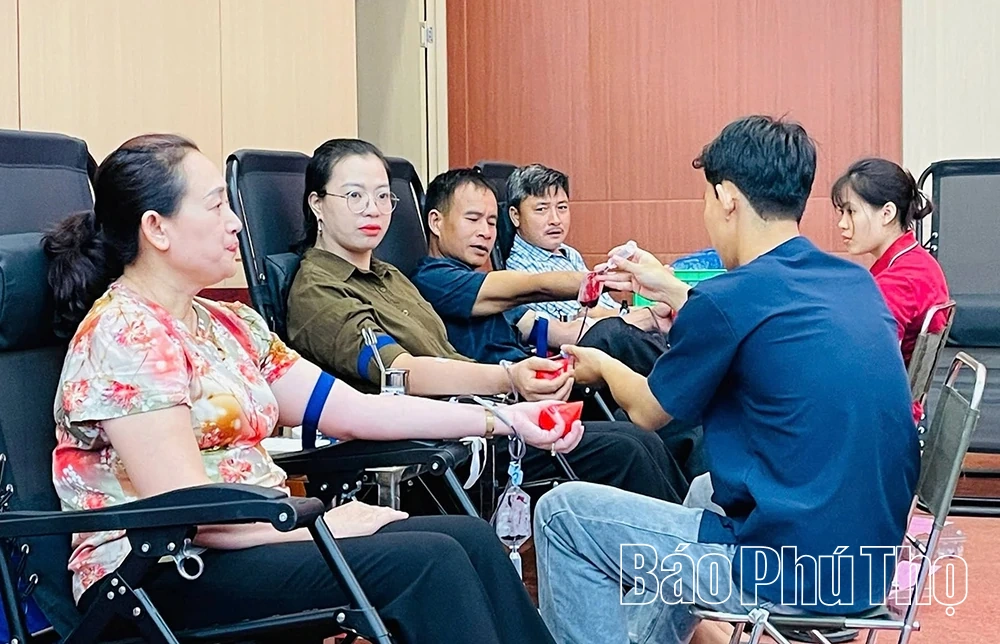 Hẹn nhau nơi những giọt hồng