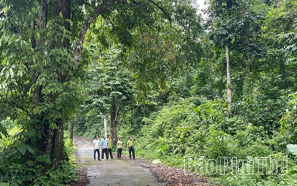 Gắn bảo tồn đa dạng sinh học với phát triển sinh kế cộng đồng