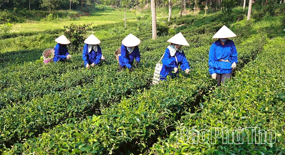 Chuyển đổi xanh - Tấm vé thông hành ra thị trường thế giới