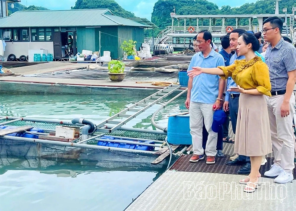 Nhân rộng mô hình kinh tế tuần hoàn