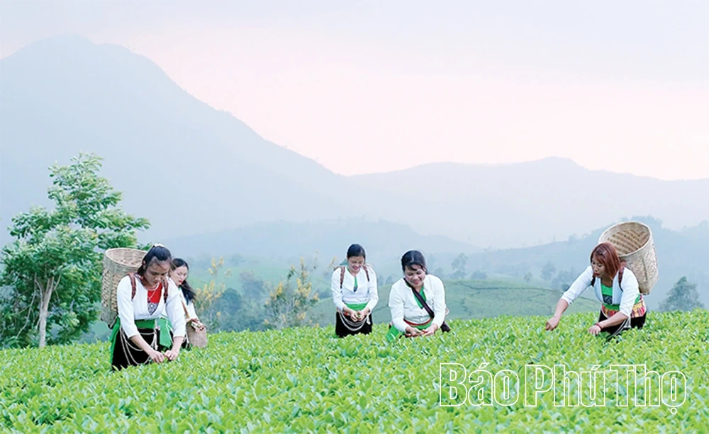 Phát triển nông nghiệp thích ứng biến đổi khí hậu