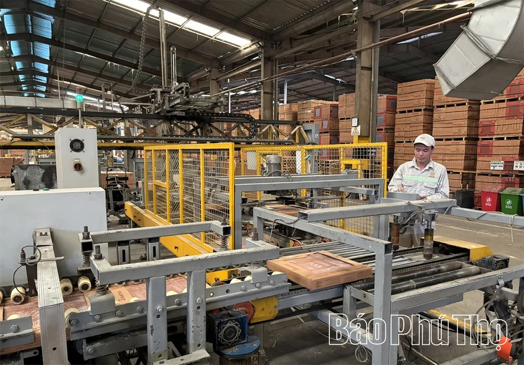 Prime Vĩnh Phúc - phát triển bền vững và khẳng định vị thế dẫn đầu