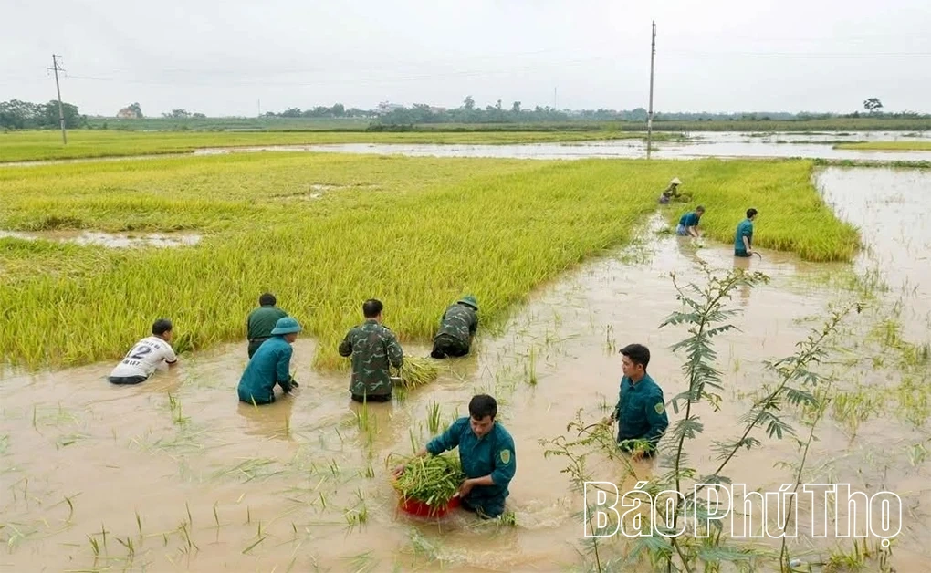 &nbsp;Thực thi hiệu quả pháp luật về khí tượng thủy văn
