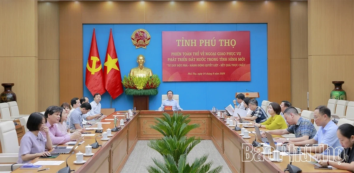 Plenary Session on Diplomacy Serving National Development in the New Period