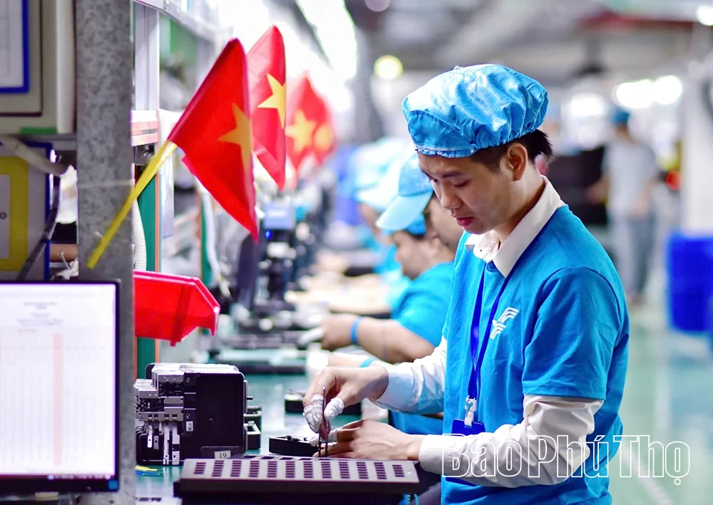 Phát triển tổ chức Đảng tại các doanh nghiệp ngoài khu vực Nhà nước