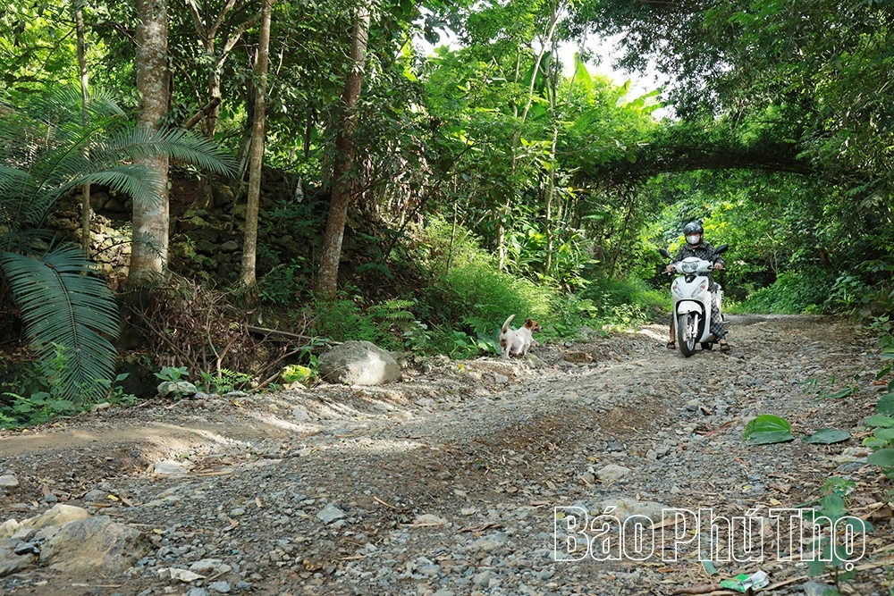Nguy cơ bủa vây đường về Thung Nai mùa mưa bão