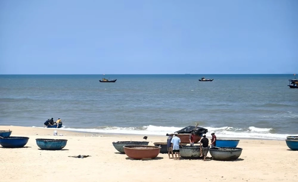 Rạn Bà Đậu đang hồi sinh