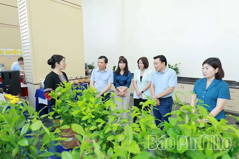 Tổng duyệt Hội nghị sơ kết 6 tháng đầu năm 2026 thực hiện Nghị quyết số 57-NQ/TW&nbsp;