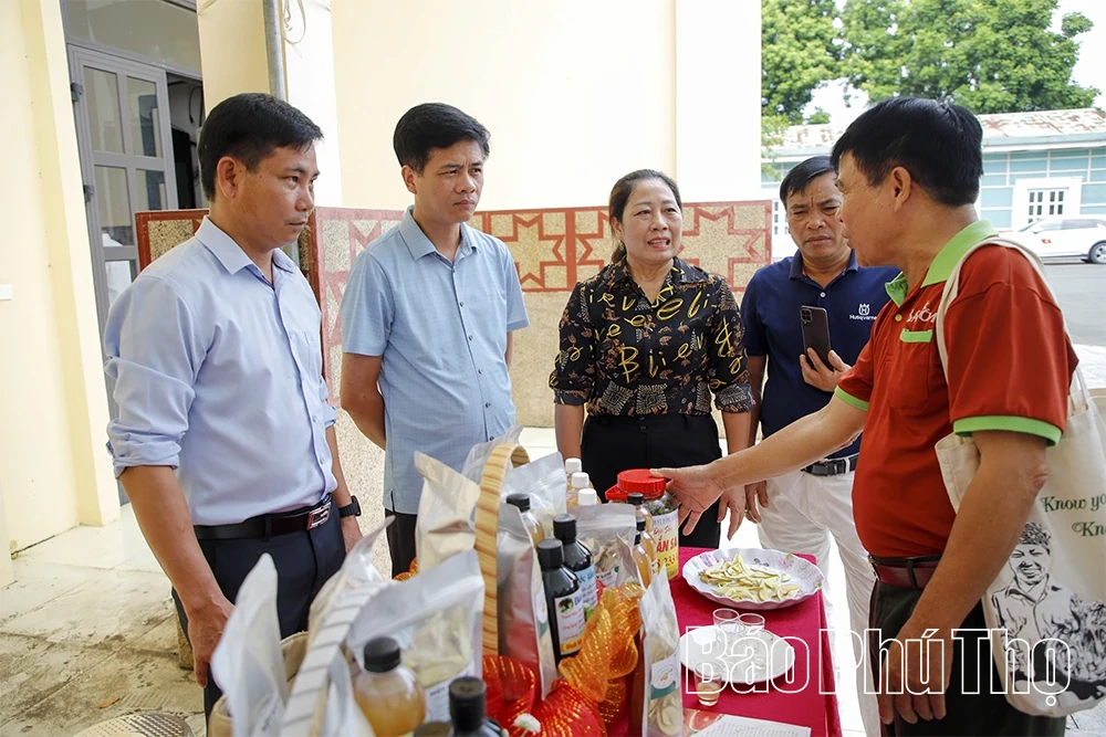 Kết nối thị trường, mở rộng đầu ra cho nông sản hữu cơ&nbsp;