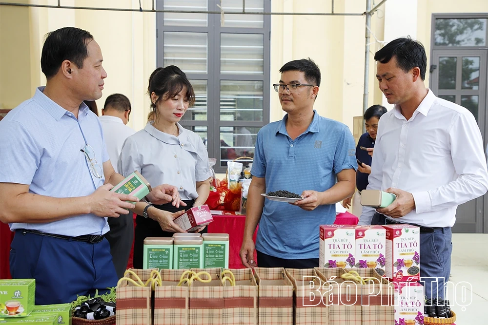 Kết nối thị trường, mở rộng đầu ra cho nông sản hữu cơ&nbsp;