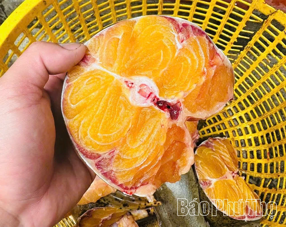 Tròn vị đặc sản cá chiên Đất Tổ