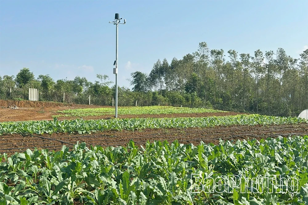 Phát triển hợp tác xã nông nghiệp gắn với chuyển đổi số