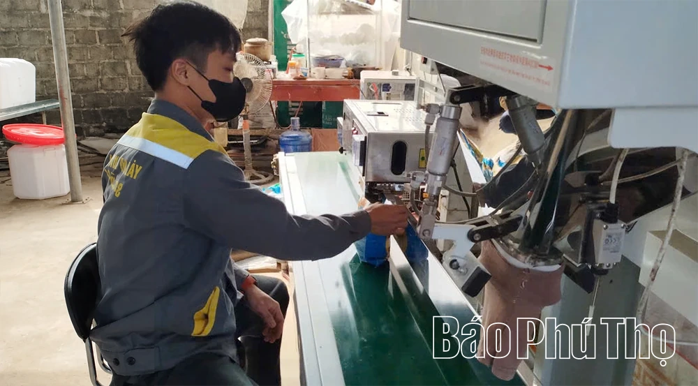 Phát triển hợp tác xã nông nghiệp gắn với chuyển đổi số