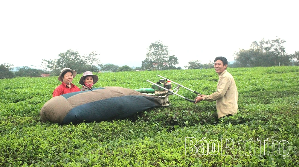 Minh Đài tạo nền móng cho phát triển bền vững
