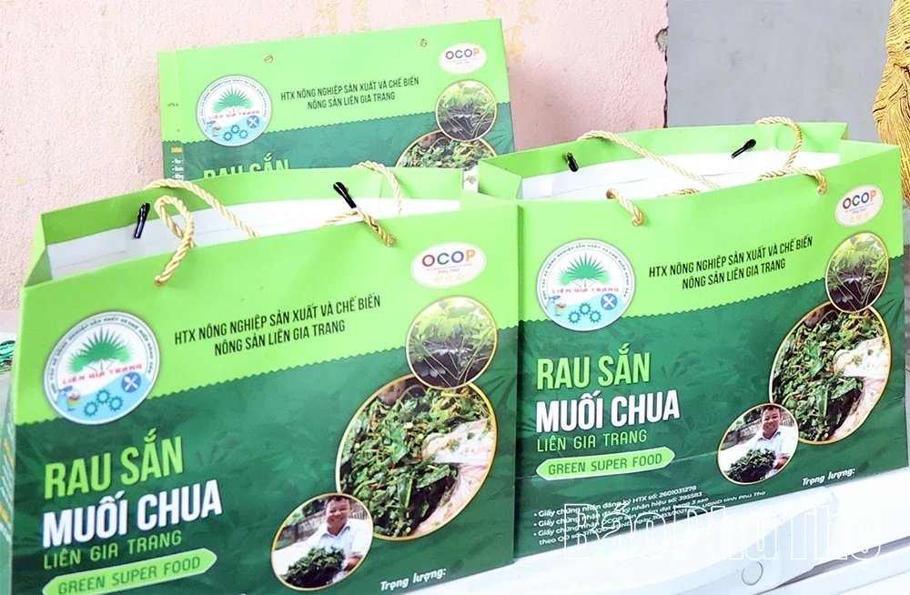 Rich Flavor of Fermented Cassava Leaves
