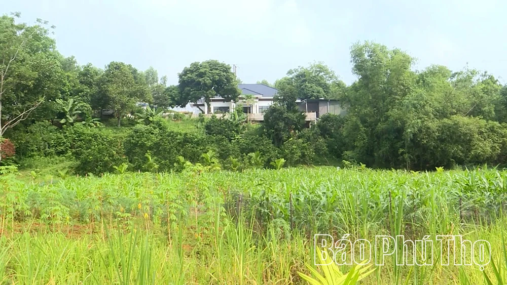 Mương bị lấp, người dân nhiều lần kiến nghị