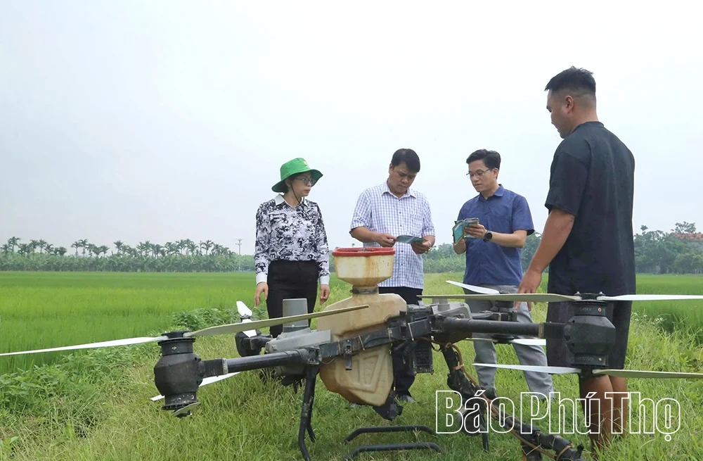 Hiền Quan đẩy mạnh ứng dụng công nghệ vào sản xuất nông nghiệp