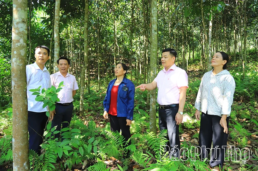 Khi dòng vốn của Đảng bén rễ vùng khó khăn - Kỳ 3: Bản Mường sang trang mới và “trái ngọt” từ niềm tin