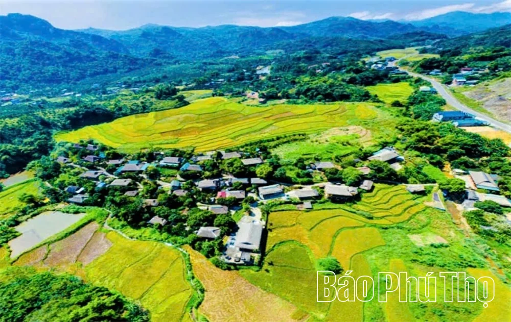 Khi dòng vốn của Đảng bén rễ vùng khó khăn - Kỳ 3: Bản Mường sang trang mới và “trái ngọt” từ niềm tin