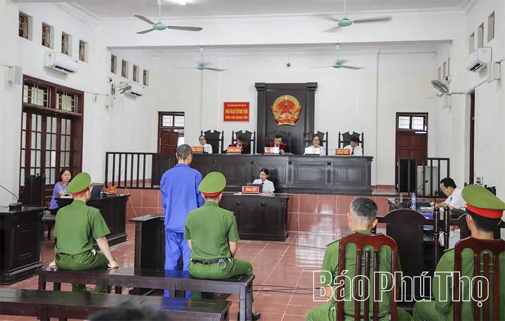 Lên cơn ảo giác vì ma túy, sát hại bà cụ 87 tuổi