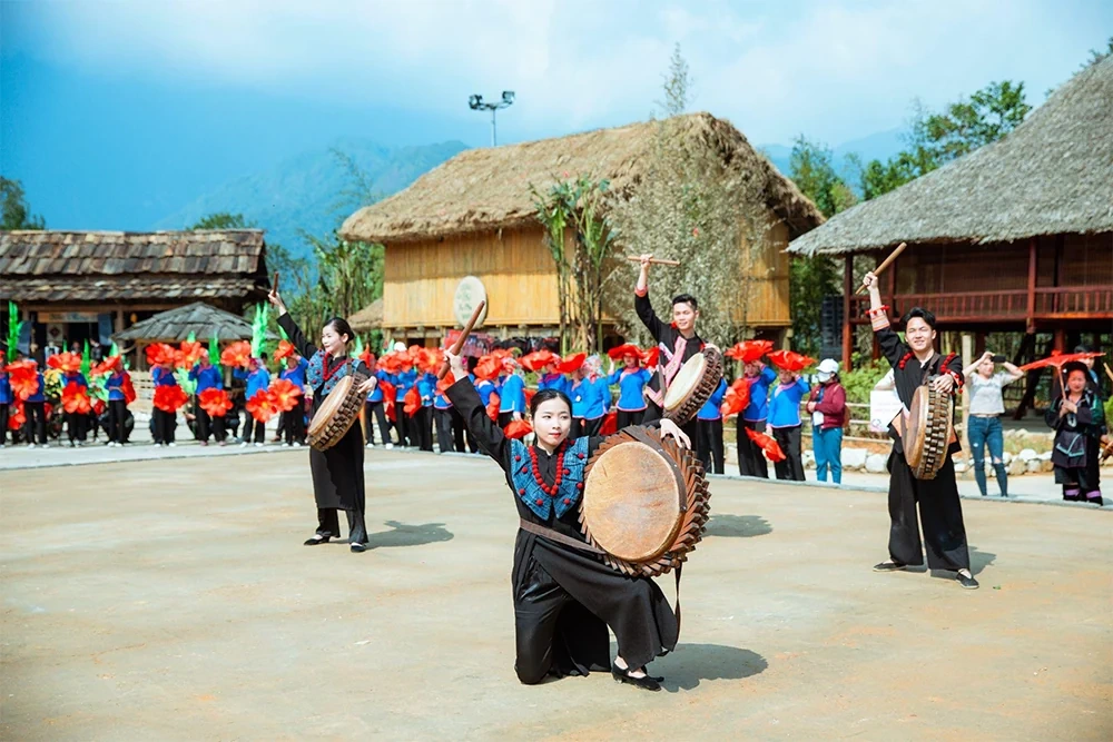 Sa Pa: Choáng ngợp thảm hoa dơn thóc trên đỉnh Fansipan