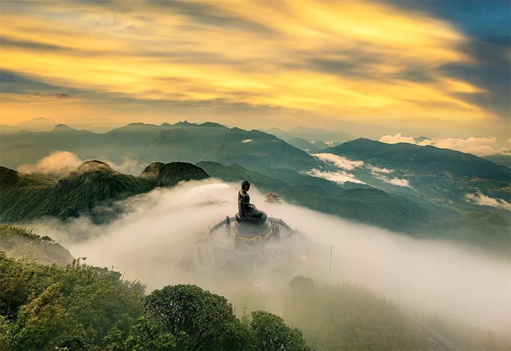Sa Pa: Choáng ngợp thảm hoa dơn thóc trên đỉnh Fansipan