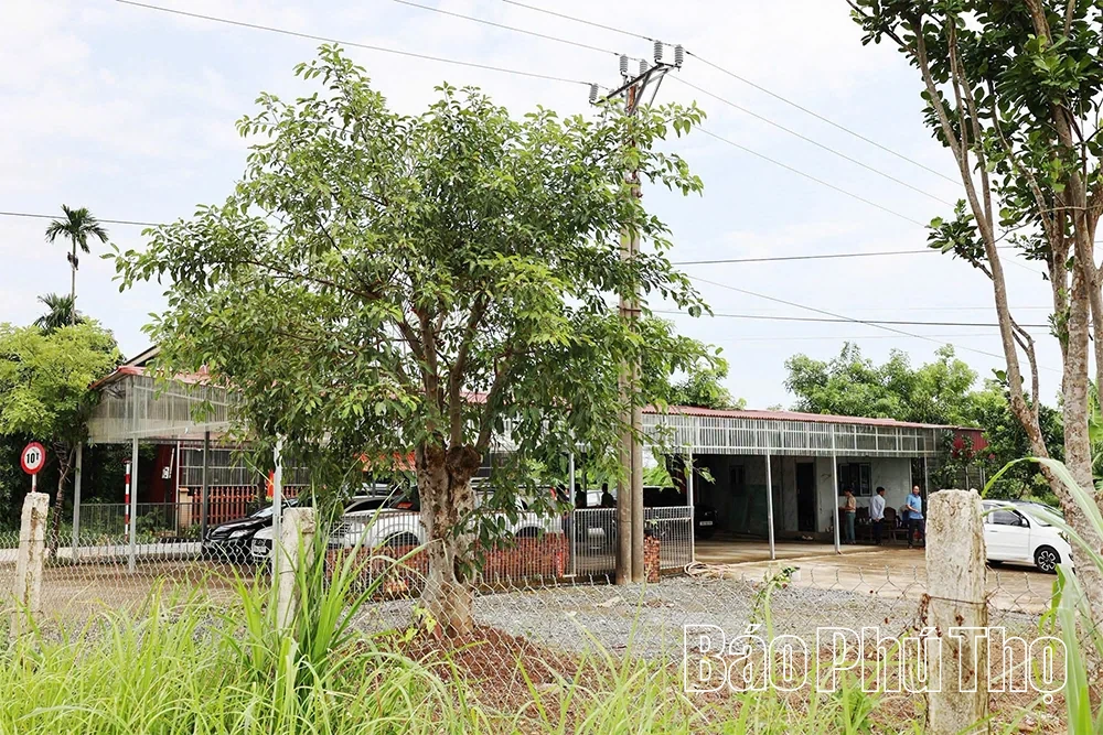 Tam Nông xử lý nghiêm vi phạm trật tự xây dựng trên đất nông nghiệp