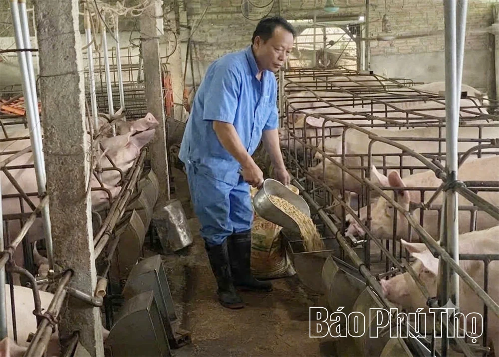 Agribank Chi nhánh Lập Thạch Vĩnh Phúc tiếp sức cho “Tam nông” bứt phá