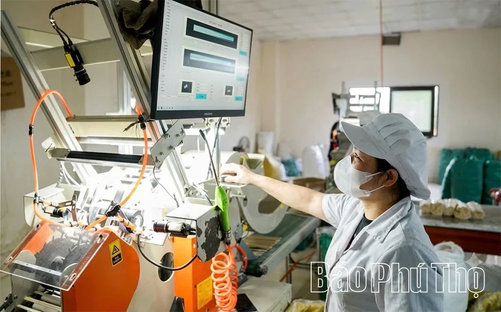 Digital Transformation Enhances Production Efficiency