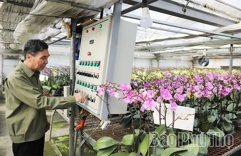 Digital Transformation Enhances Production Efficiency