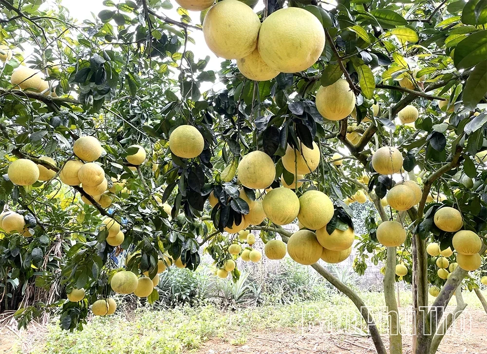 Digital Transformation Enhances Production Efficiency