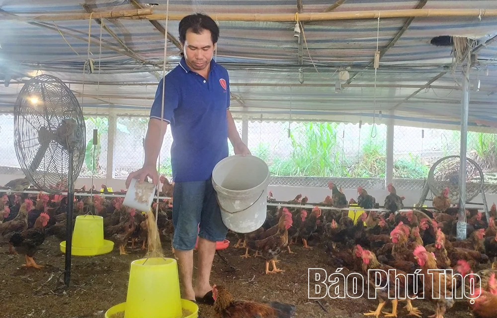 Ổn định nguồn cung thực phẩm trong dịp cuối năm