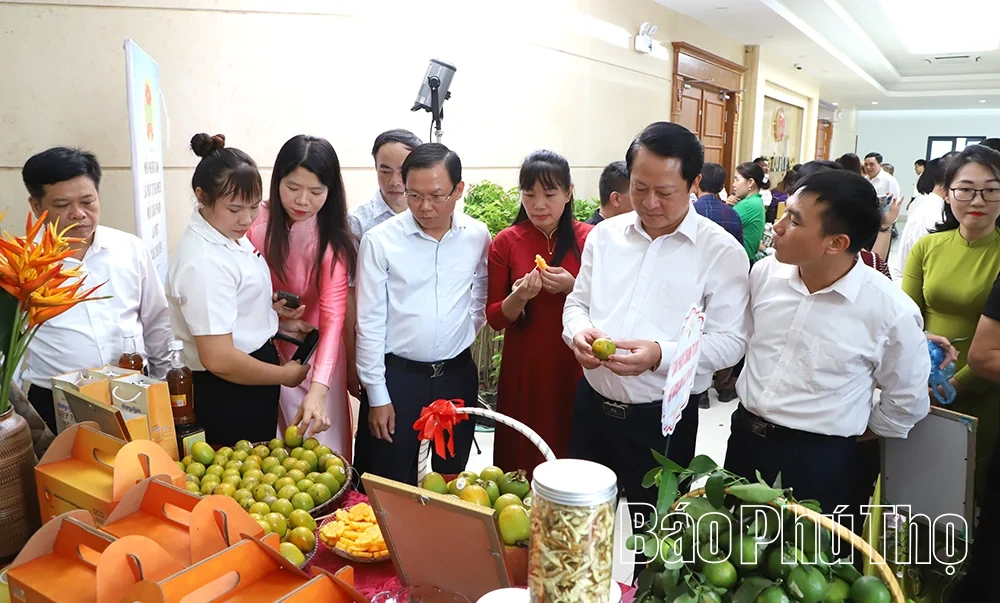 Kết nối tiêu thụ nông sản, thúc đẩy chuyển đổi số và khởi nghiệp sáng tạo