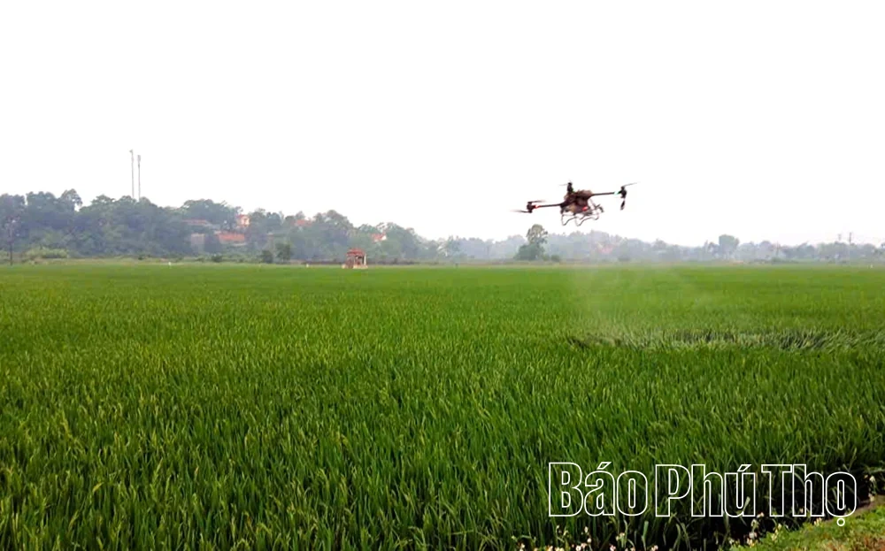 Hỗ trợ đào tạo nghề, trang bị kỹ năng số cho nông dân